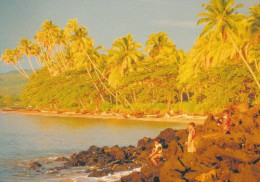 1 AK Fiji Islands * Ansicht Der Insel Taveuni - Sie Ist Die Drittgrößte Der Fidschi-Inseln * - Fiji