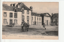 CP 56 MUZILLAC La Place De La Mairie - Muzillac