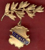 ** BROCHE  COMITE  +  AUTRE ** - Brooches