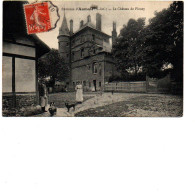 76 AUMALE Le Château De Fleuzy , Couple Avec Chiens à L'entrée 1910 - Aumale