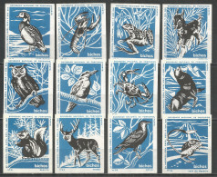 Portugal 12 Old Matchbox Labels Birds - Boites D'allumettes - Etiquettes