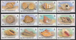 MONTSERRAT 710-721,unused (**) Out Of Set - Conchas