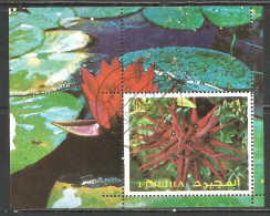 FUJEIRA 1973 Year Mint Block MNH(**) - Fudschaira