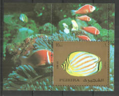 FUJEIRA 1973 Year Mint Block MNH(**) Fish  - Fudschaira