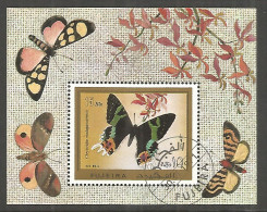 Fujeira 1970 Year, Used Block Butterfly  - Fudschaira