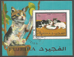 Fujeira 1970 Year, Used Block Cats  - Fudschaira