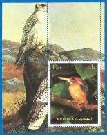 Fujeira 1973 Year, Used Block Birds - Fudschaira