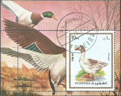 Fujeira 1973 Year, Used Block Birds - Fudschaira