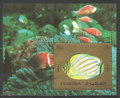 Fujeira 1973 Year, Used Block Fish - Fujeira