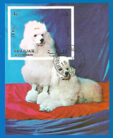 Sharjah 1972 Year, Used Block Dog Imperf. - Schardscha