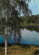 Finlande - Lac - CPM - Voir Scans Recto-Verso - Finnland