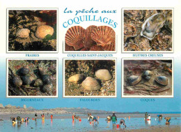 Animaux - Peche Aux Coquillages - Multivues - Praires - Bigorneaux - Palourdes - Huitres - Coquilles Saint Jacques - Coq - Poissons Et Crustacés