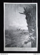 Caccia Agli Uccelli Di Mare, Isole Faroe - Posizione Pericolosa Stampa Del 1903 - Autres & Non Classés