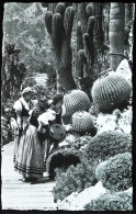 ► MONACO Type Femme Monégasque Cpsm Bromure Du JARDIN EXOTIQUE  Cactus - Exotische Tuin