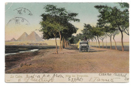 Postcard Egypt Allée Des Pyramids Tree-lined Road Carriage Undivided Back Posted 1907 Egyptian Stamp - Piramidi