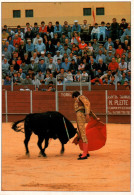 CPM - CORRIDA - Photo P.Gonzales (Région TOLÈDE / ILLESCAS)... Edition La Cigogne - Otros & Sin Clasificación