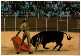 CPM - CORRIDA - Photo P.Gonzales (Région TOLÈDE / ILLESCAS)... Edition La Cigogne - Autres & Non Classés