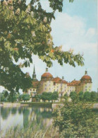 20515 - Moritzburg - Schloss Und Barockmuseum - 1974 - Moritzburg