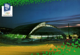 CPM - JEUX OLYMPIQUES - LILLEHAMMER 1994 - Parc Olympique - Lot 2 CP à Saisir (Format 17x12)... - Olympic Games