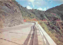 Cuba - Route De La Farola Dans Le Massif Montagneux D'Oriente - Province D'Oriente - CPM - Voir Scans Recto-Verso - Kuba