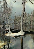 88 - Xonrupt-Longemer - Les Rives Du Lac De Longemer - Hiver - Neige - Carte Neuve - CPM - Voir Scans Recto-Verso - Xonrupt Longemer