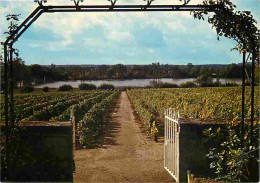 58 - Pouilly Sur Loire - L'Espérance - Clos Des Chauniennes - CPM - Voir Scans Recto-Verso - Pouilly Sur Loire