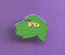 Rare Pins Politique Syndicat Fo Force Ouvriere Val De Marne Q589 - Administración
