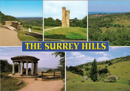 1 AK England * The Surrey Hills - Box Hill. Leith Hill, Devil's Punchbowl, Colley Hill, Zig-Zag, Box Hill * - Surrey