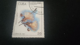 CUBA- 1980-90   20  C.     DAMGALI - Gebruikt