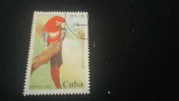 CUBA- 1980-90   65  C.     DAMGALI - Gebruikt