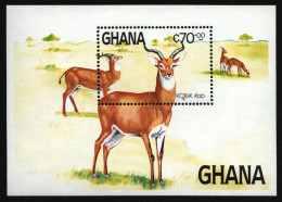 Ghana 1984 - Mi-Nr. Block 111 ** - MNH - Wildtiere / Wild Animals - Ghana (1957-...)