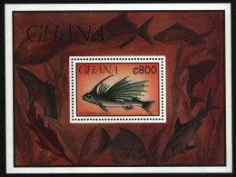 Ghana 1991 - Mi-Nr. Block 176 ** - MNH - Fische / Fish - Ghana (1957-...)