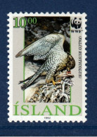 Islande, Island, **, Yv 730, Mi 777, SG 799, Faucon Gerfaut Ou Gerfaut, - Ongebruikt