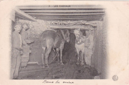 DANS LA MINE LES CHEVAUX - Bergbau