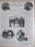 GUERRE 14-18  Le Dépot  De La Croix-Bleue à MORET CHEVAL De Guerre Bléssé  équitation Blessure Soins - Non Classés