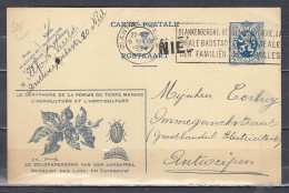 Postkaart Van Antwerpen 6 Naar Antwerpen Met Langstempel Niel - Sello Lineal