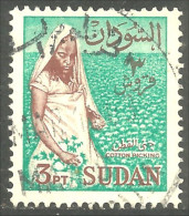 834 Sudan Cueillette Coton Cotton Picking (SUD-34) - Textiles