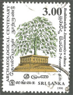 830 Sri Lanka Bodhimalaka Arbre Tree (SRI-12) - Trees