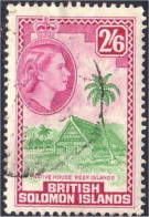 822 Solomon Islands Native House Coconut Cocotier Hutte (SOL-104) - Trees