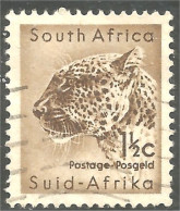 817 South Africa Guépard Cheetah Gepard Ghepardo Jachtluipaard Leopardo (RSA-22b) - Gebruikt