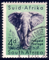 817 South Africa Elephant Elefant Elefante Olifant Norsu (RSA-7b) - Elefanten