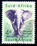 817 South Africa Elephant Elefant Elefante Olifant Norsu (RSA-7a) - Elefanti