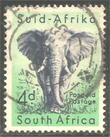 817 South Africa Elephant Elefant Elefante Olifant Norsu (RSA-7c) - Usados