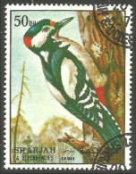 804 Sharjah Oiseau Bird Vogel Uccello Pic Pivert (SHA-60) - Climbing Birds