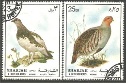 804 Sharjah Oiseau Bird Perdrix Partridge Pernice Rebhuhn Perdiz Caille (SHA-54) - Pernice, Quaglie