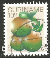 836 Suriname Oranges (SUR-33) - Fruit