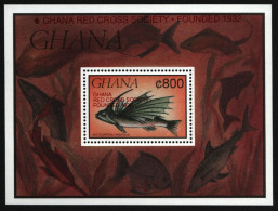 Ghana 1993 - Mi-Nr. Block 229 ** - MNH - Rotes Kreuz / Red Cross - Ghana (1957-...)