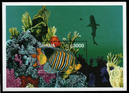 Ghana 1997 - Mi-Nr. Block 327 ** - MNH - Fische / Fish - Ghana (1957-...)