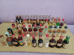 ALCOHOL BOTTLES 51 COLLECTABLE PIECES MANY BRANDS 14 SCANNERS - Alcohol