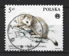 Polen 1984 Fauna  Y.T. 2759 (0) - Used Stamps